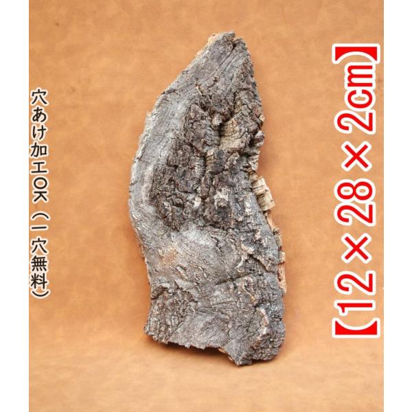 W731 ポルトガル産 キャノンコルク コルク樹皮 コルク板　バージンコルク M231 ポルトガル産 厚め コルク樹皮 コルク板 バージンコルク