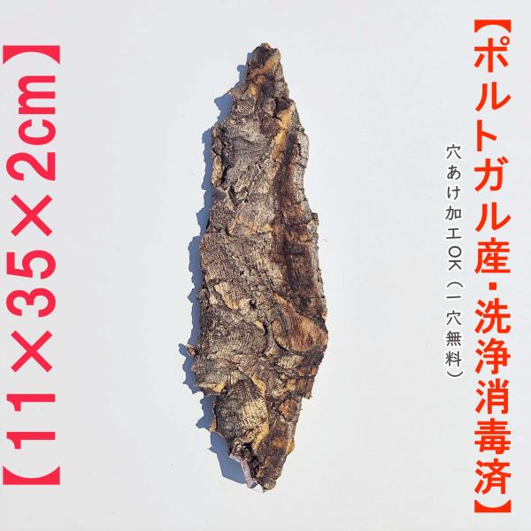 S127　ポルトガル産　厚め　コルク樹皮　コルク板　バージンコルク　チランジア　ビカクシダ　着生ラン　両生類　爬虫類