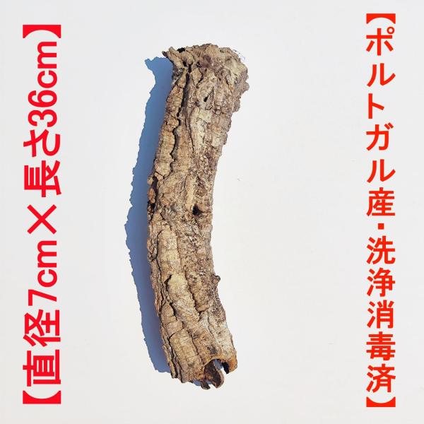 W101 ポルトガル産キャノンコルク コルク樹皮 コルク板 バージンコルク