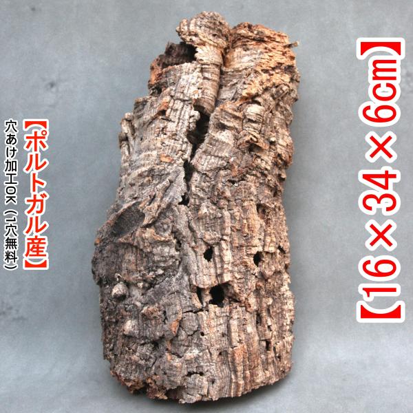 Y497　高品質ポルトガル産 厚め コルク樹皮 コルク板　バージンコルク チランジア　ビカクシダ　着生ラン　両生類　爬虫類