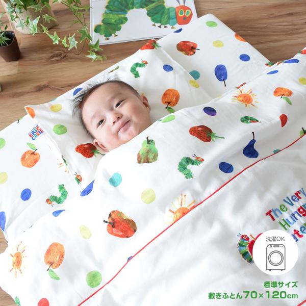 xr[zcZbg { ͂؂ނ xr[ӂƂ9_Zbg t[c WTCY jVUL usvNZ