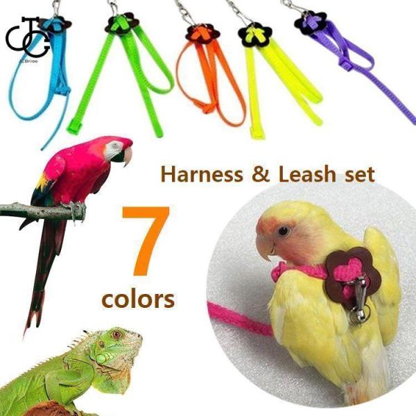 ハーネス リード セット 鳥 爬虫類 小動物用 8の字型 胴輪 調節可 リーシュ お散歩 お出掛け インコ オウム トカゲ イグアナ ハムスター ブラ