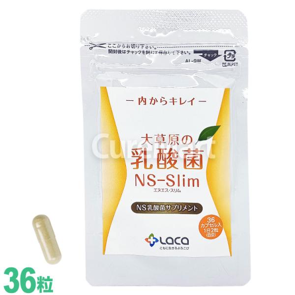 大草原の乳酸菌 NS-Slim 36粒 日本製 ラクア NS乳酸菌 共生性