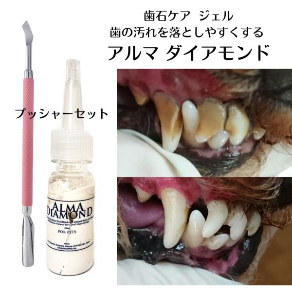 犬 猫 歯石ケア 歯磨きジェル ダイアモンド（30ml）プッシャー セット