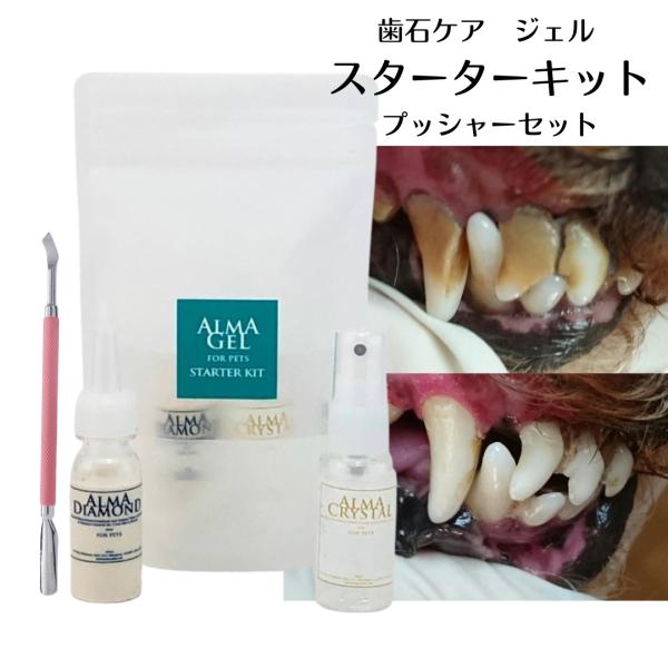 犬 猫 歯石ケア 歯磨きジェル スターターキット プッシャーセット