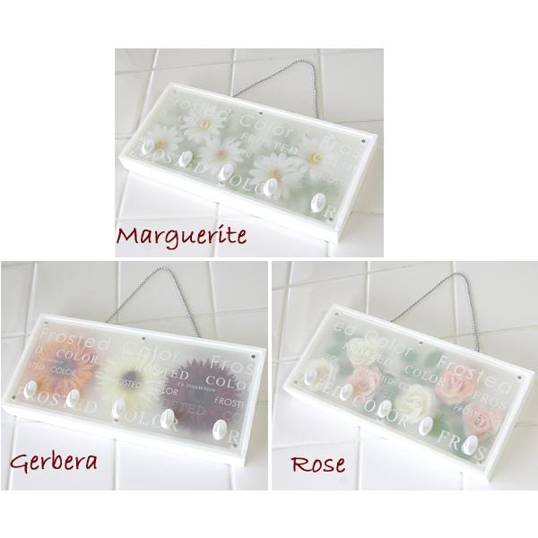 iZ[jtXgJ[@t[@L[tbNiԕi@@Mtgsj