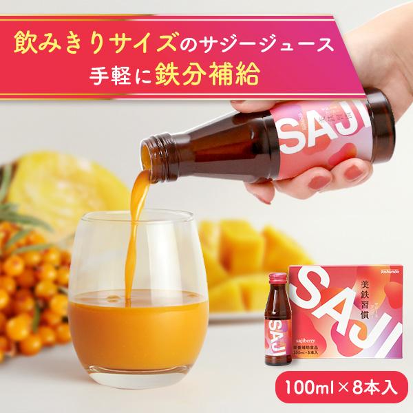 サジージュース Amazon.co.jp: 豊潤サジー 500ml サジージュース【紙パック
