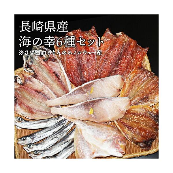 長崎県産 海の幸 6種セット 干物 塩干し みりん干し 開き ギフト ギフトセット お歳暮 お中元 送料無料