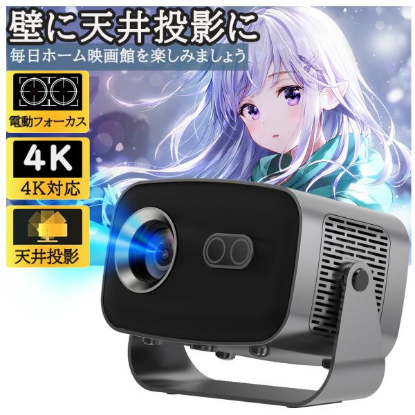 curly-shop_projector-2