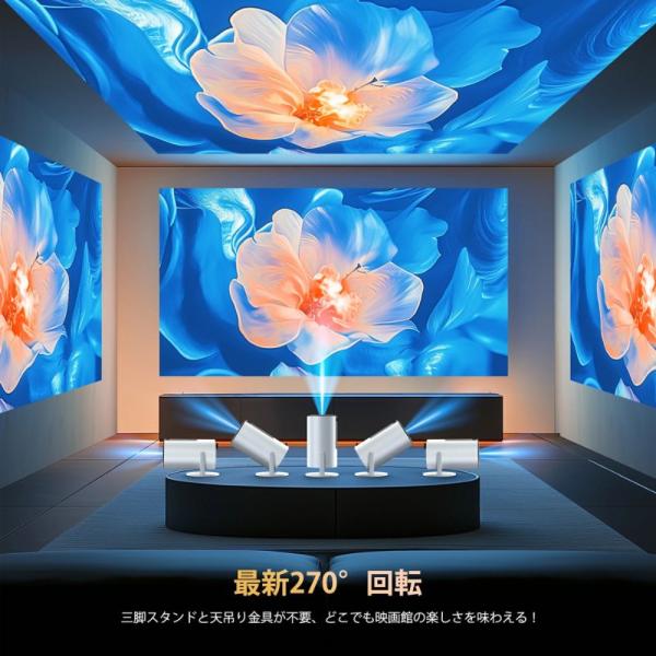 curly-shop_projector1_2_d_20250407173858