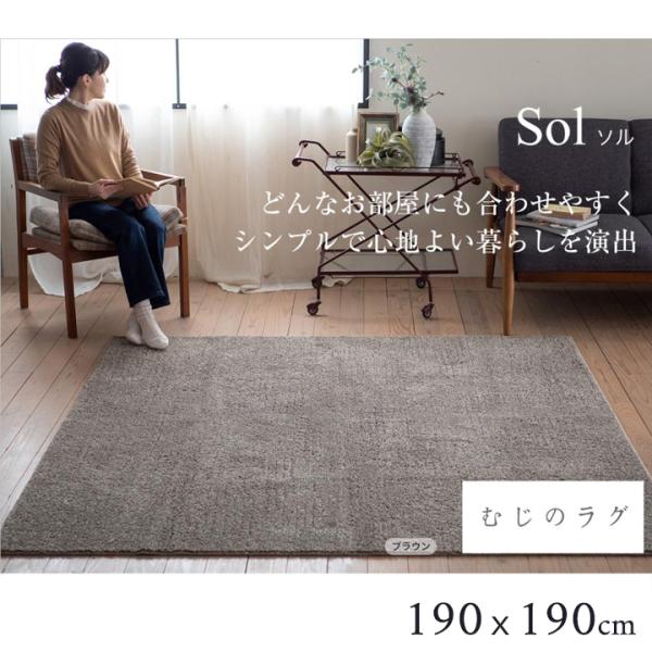 ラグ 洗える オールシーズン 丸洗い 防ダニ カーペット ウォッシャブル