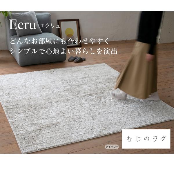 ラグ 洗える オールシーズン 丸洗い 防ダニ カーペット ウォッシャブル 滑り止め ラグマット 190X240cm 長方形 北欧 床暖房  シンプル