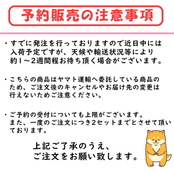 curu_alphard06_3_d_20251225153938