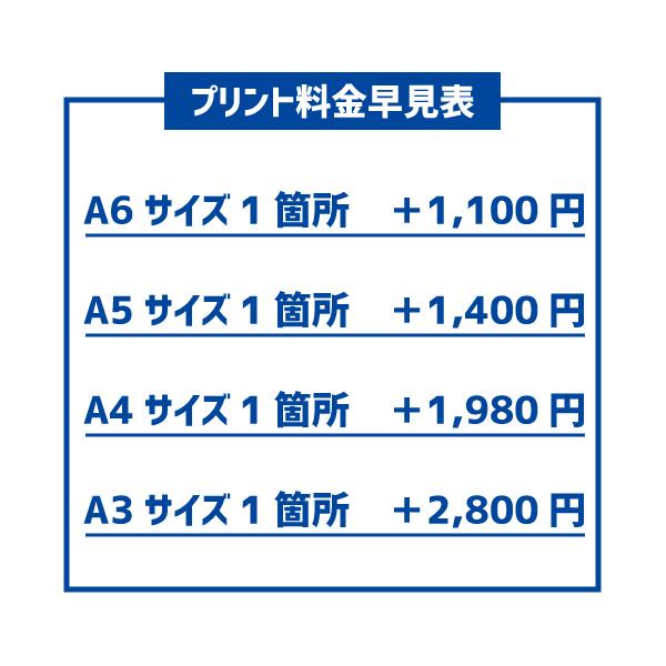 �h���CT�V���c30���ȏ�ł̃I���W�i��T�V���c�쐬���ʓr�v�����g�����K�{�I1����900�~ ���i�摜3