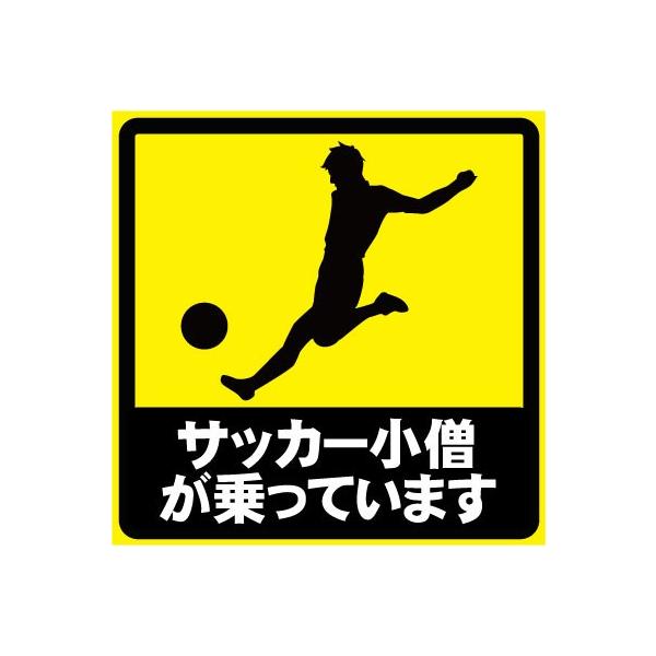 TbJ[mĂ܂ XebJ[ J[XebJ[ J[ObY  V[ [AXebJ[ W[NObY S^]