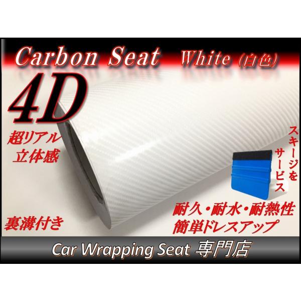 4DJ[{V[g F zCg 152cmx300cm XL[Wiwjt t JbeBO 3m 3[g