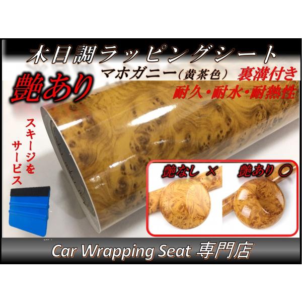 ؖڒ bsOV[g  }zKj[(F) 124cmx500cm XL[W(w)t t ϔM ϐ Lk at  XCb`pl Ƌ ǎ 5m 5[g