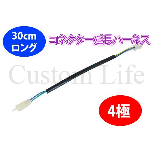 30cmO 4 Jv[ RlN^[ 300mm 110^ n[lX z 4P 4s ATV lփoM[ ؃gCN L[ `O