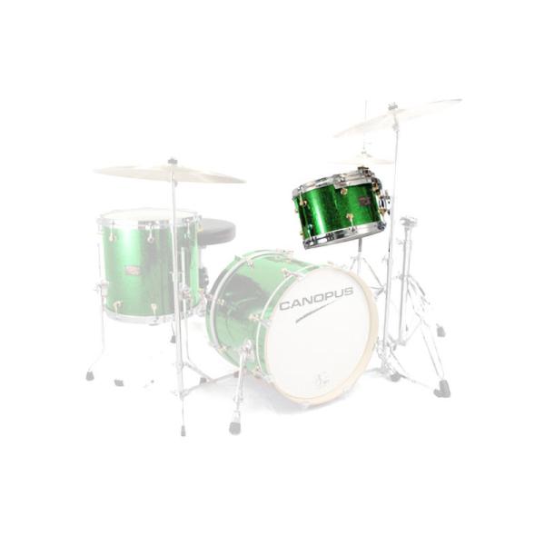 CANOPUS NV60M1 8x12 Tom Green Spkl. Wrap