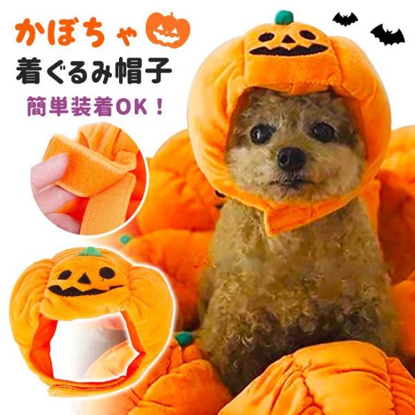 nEB RXv RX`[ ybgpi p Lp J{` 蕨  Xq@