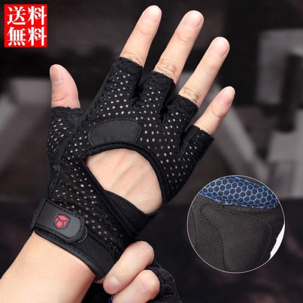 n[tO[u EGCgg[jOO[u Y TCNO X|[cp  bV w؂ wȂ ~ ^ ^] ] AEghA 