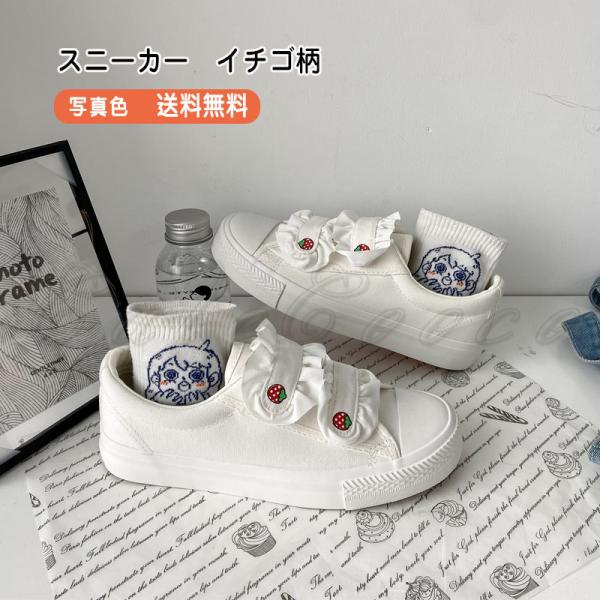 Xj[J[ fB[X tbgV[Y t C`S }WbNe[v JWA ɂ ₷ ₷ r t  