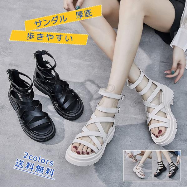 Xj[J[T_ fB[X  ₷ Xgbv EFbW\[ JWAV[Y ؂񂱌C  ɂȂ  r ꂢ  