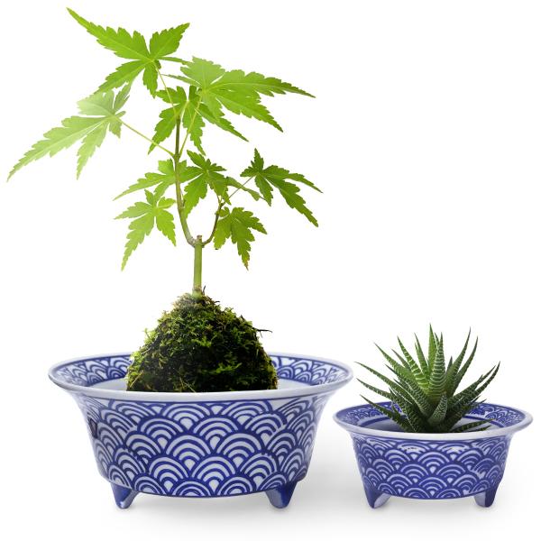 植木鉢 2点セット おしゃれ 陶器 磁器 和風 反り口 脚付き(青海波)山