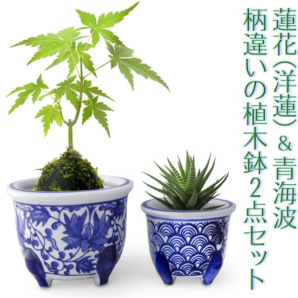 cutemania_interiorpottery-0023 cutemania_interiorpottery-0023