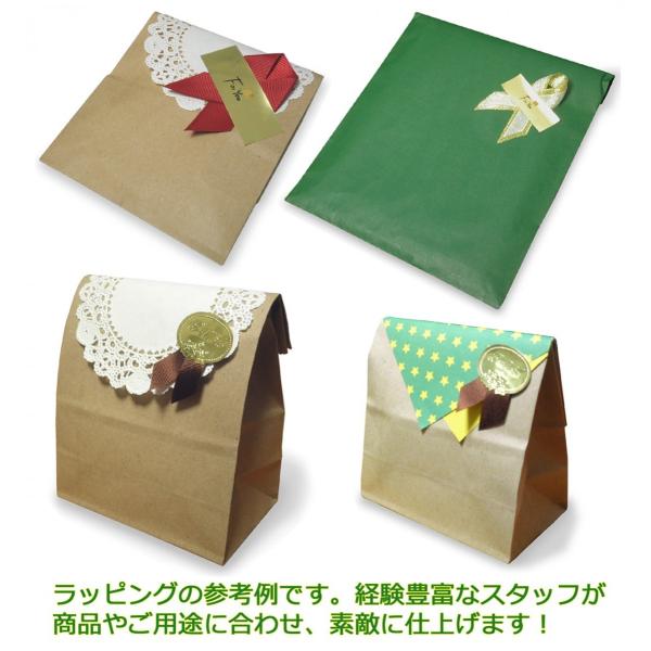 (ポイント還元 7％)カメレオン 置物 ブリキ アイアン(カラフル 普通サイズ)(オリジナル説明書付)オブジェ 飾り物 インテリア雑貨 ディスプレイ ギフト｜cutemania｜07