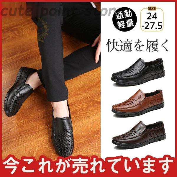  ėprWlXV[Y Ȃ YT_ 芴 AEghA ̓ ^]  PU U[ ~  bV dp