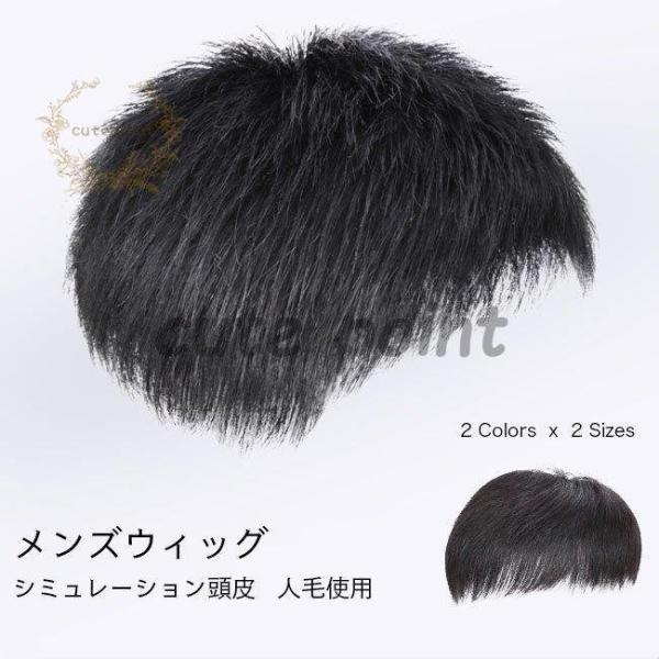 かつら メンズ ウィッグ 自然 セルフ増毛 人毛 部分ウィッグ 男性 薄毛