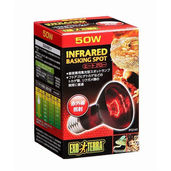 【商品名】 ジェックス ヒートグロー赤外線照射ランプ 50W PT2141 【ペット用品】  [ PT2141 ]
