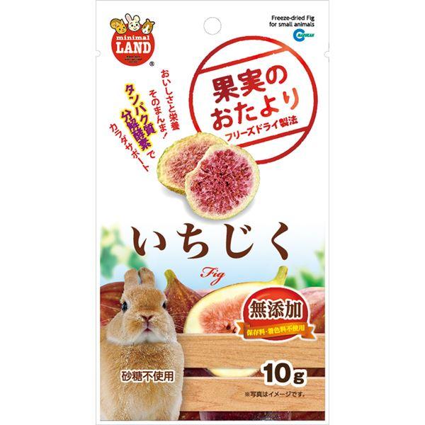 【商品名】 （まとめ）マルカン 果実のおたより いちじく 10g ウサギフード 【×5セット】 【ジャンル・特徴】 おいしさと栄養そのまんま！消化酵素でカラダサポート！