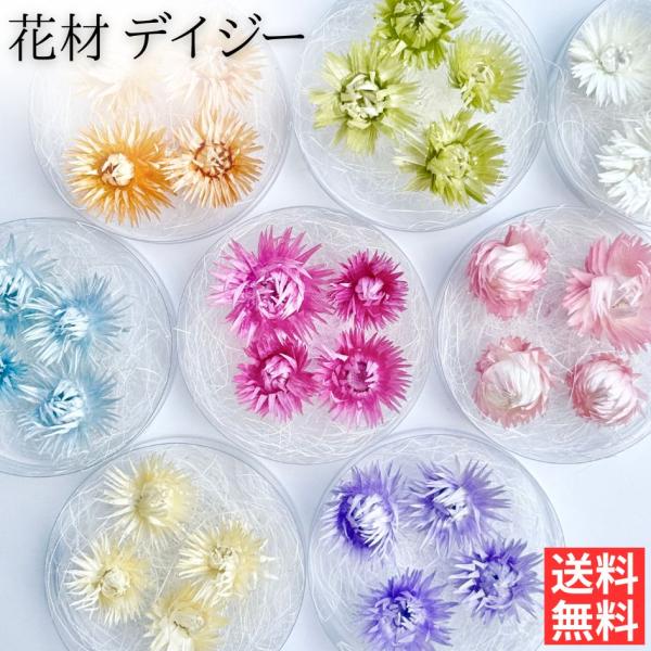 花材の小分け販売です。お好きな色を少量ずつ使いたい方に、ちょうど良い量を低価格でお届けします。内容物：デイジー(ブリザーブドフラワー)*写真のブリザーブドフラワー以外は付属しません。*商品は1パックのお値段です。ご注意：モニターの発色の具合...