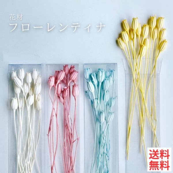 花材の小分け販売です。お好きな色を少量ずつ使いたい方に、ちょうど良い量を低価格でお届けします。*写真のブリザーブドフラワー以外は付属しません。*商品は1パックのお値段です。ご注意：モニターの発色の具合によって、実際のものと色が異なる場合がご...