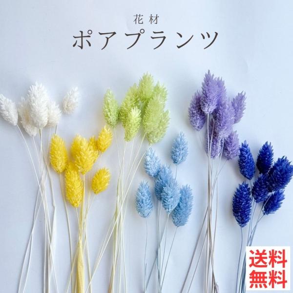 横浜ハーバリウム弐番店 正規品花材の小分け販売です。お好きな色を少量ずつ使いたい方に、ちょうど良い量を低価格でお届けします。内容物：ポアプランツ(ブリザーブドフラワー)*写真のブリザーブドフラワー以外は付属しません。*商品は1パックのお値段...