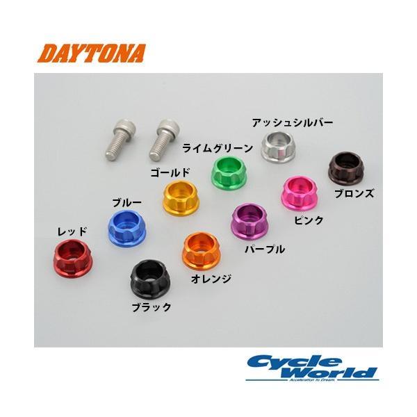 DAYTONA（デイトナ） 〔DAYTONA〕ナンバーホルダーセット <サイズ:M6