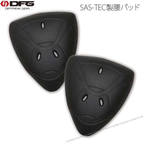 kDFGlDG0809-1101 SAS-TEC pbh dxω veN^[ S [^[X|[c I[goC _[gt[N