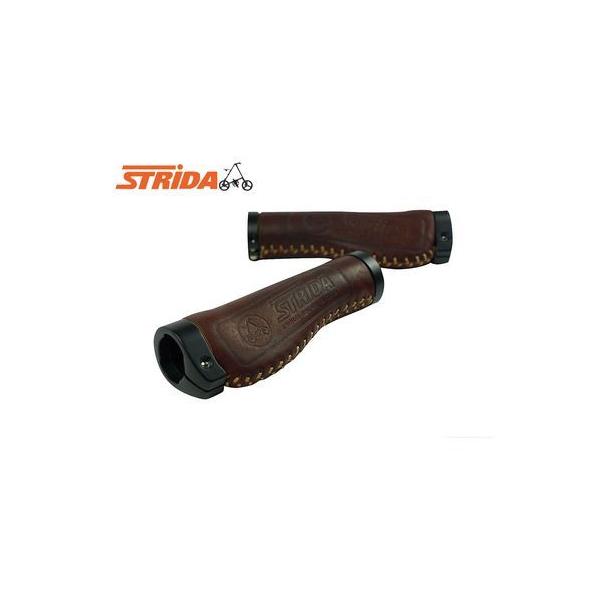 (ʎz^)XgC_(STRIDA) U[ Obv GS^Cv