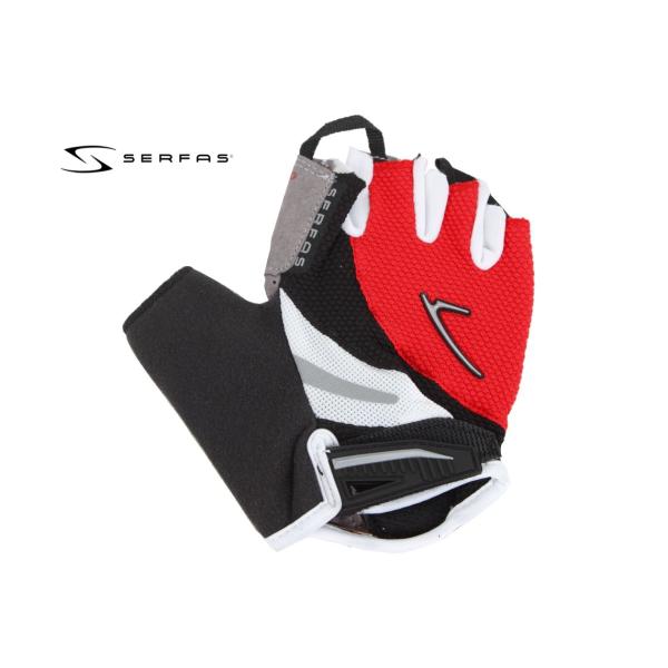 (lR|XΏۏi)SERFASiT[t@Xj@[ Y V[gtBK[ O[uiij i