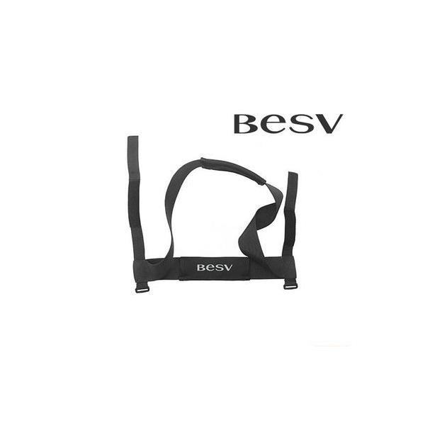 xXr[(BESV) PSF1p V_[Xgbv