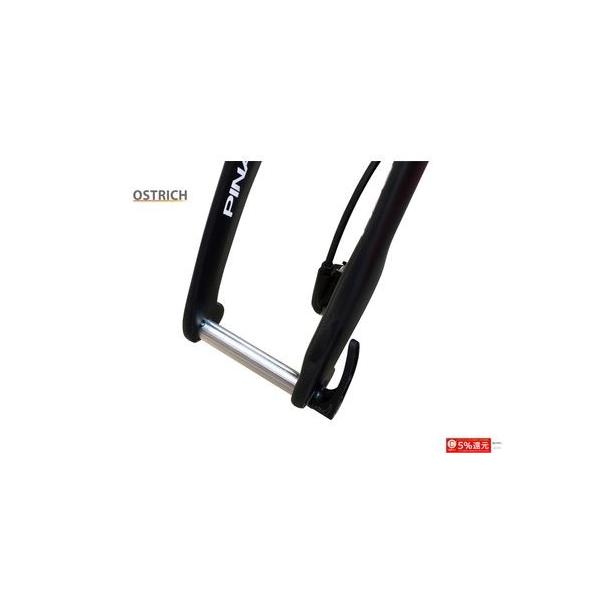 (Z[)I[Xgb`iOSTRICHj@Gh tgp 12mmX[