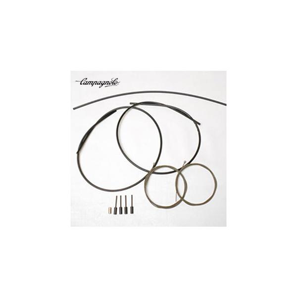 (Z[)Jpj[iCAMPAGNOLOj@CG-FRD700 12Xs[hpVtgP[uZbgiubNj