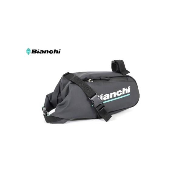 (Z[)rALiBIANCHIj@ThobN [WiJP213S3803j