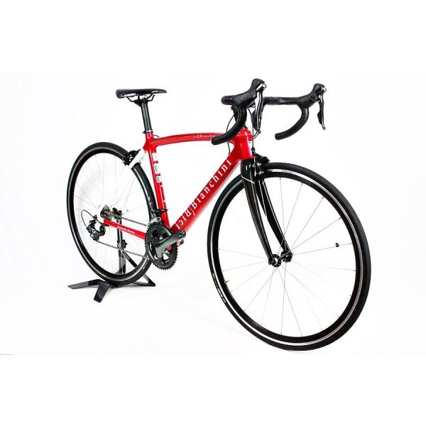 bicicletta bianchini