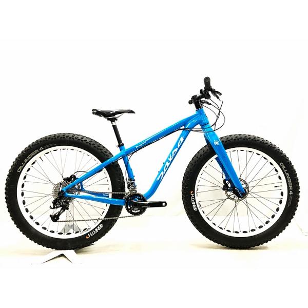 Salsa Cycles マウンテンバイク 26インチ