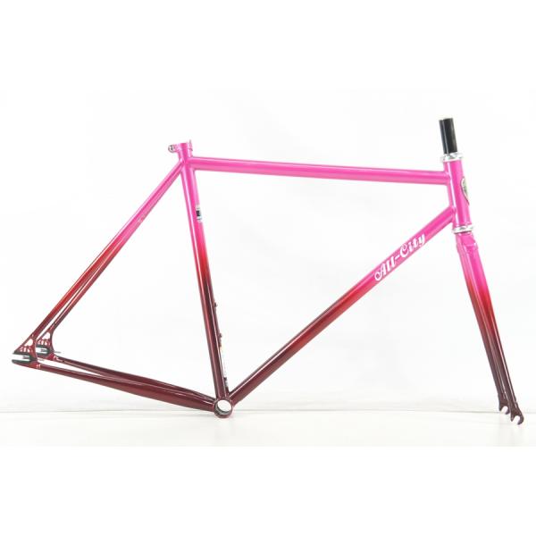 ◇◇未使用 オールシティ ALL CITY ビッグ ブロック BIG BLOCK 2019