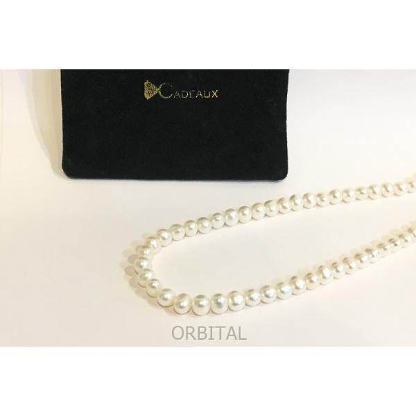 cycleparadisestore_nkt- cycleparadisestore_nkt-