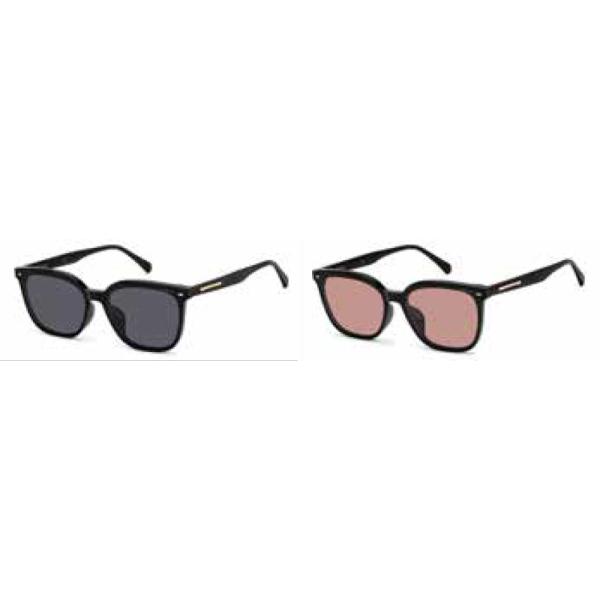 Polaroid SUNGLASS   PLDCN 0090 /F/S @12000  Polarized 偏光レンズ サングラス